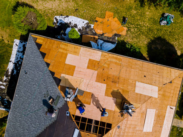 Best Metal Roofing Contractor  in Williamstown, KY